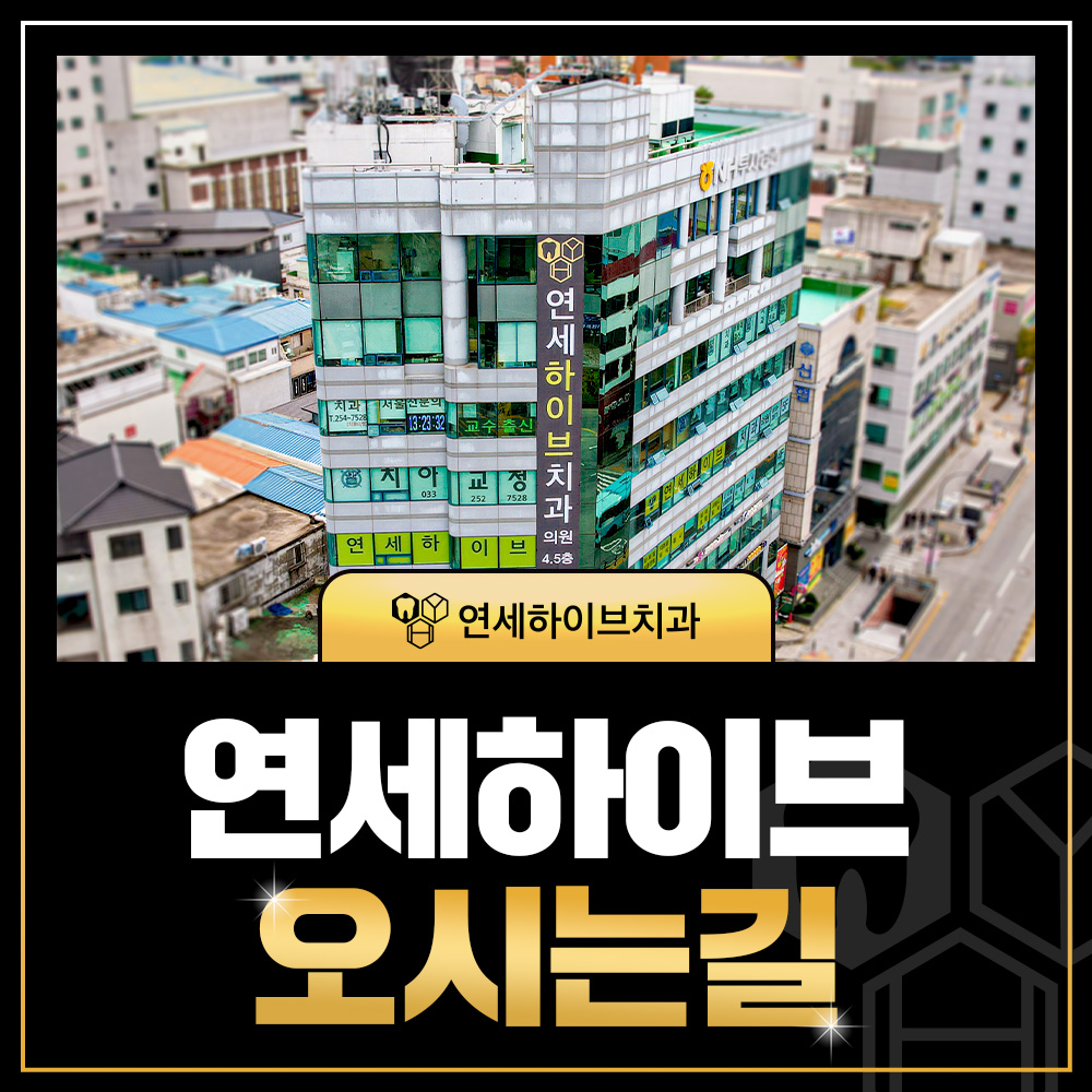 연세하이브 오시는길